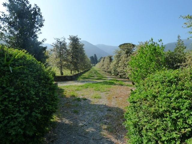 Rustico con giardino, Capannori vorno