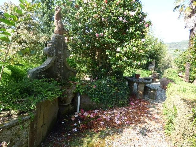Rustico con giardino, Capannori vorno