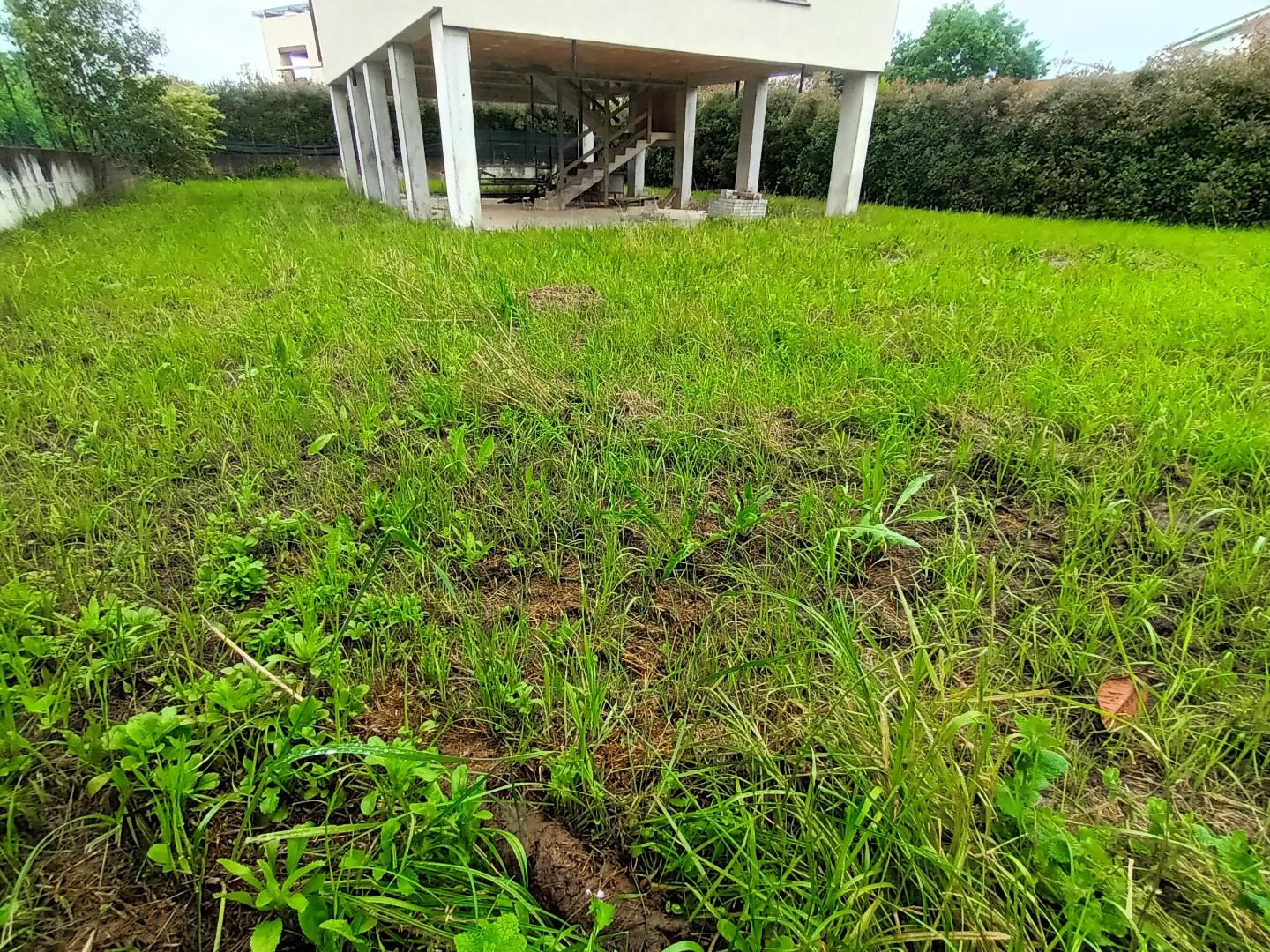 immagine annuncio 5 di 6