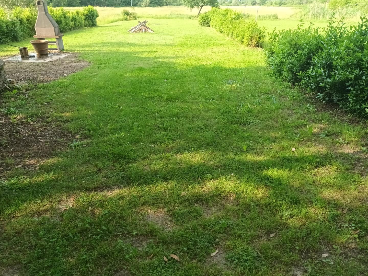 immagine annuncio 2 di 6