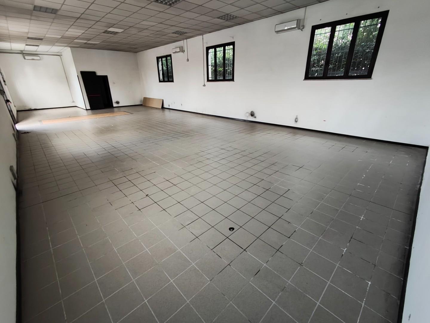 Capannone in affitto, Capannori santa margherita