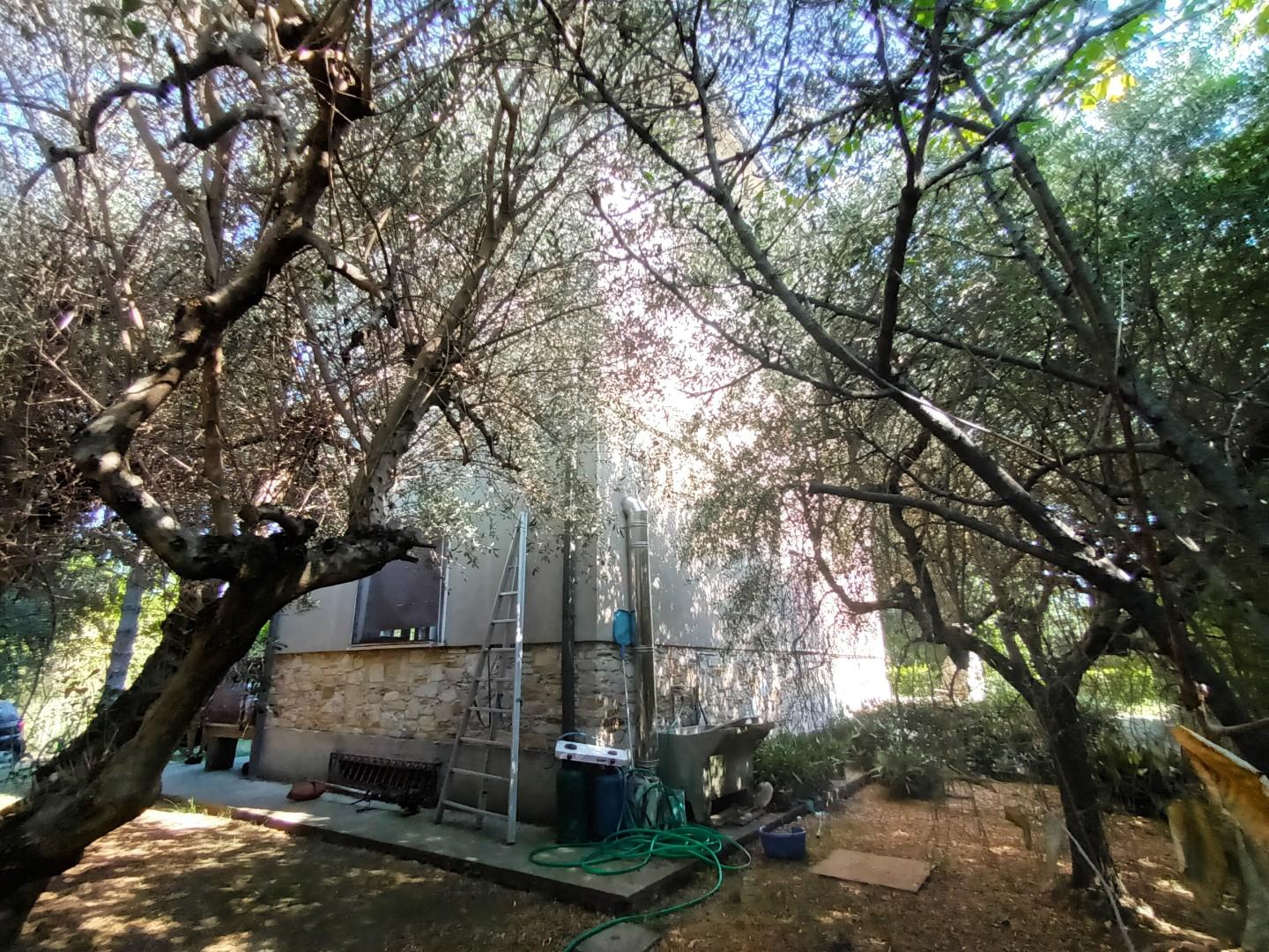 Villa con giardino, Lucca san pietro a vico