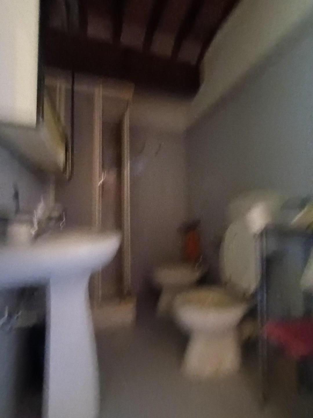 Casa indipendente in vendita, Lucca arsina