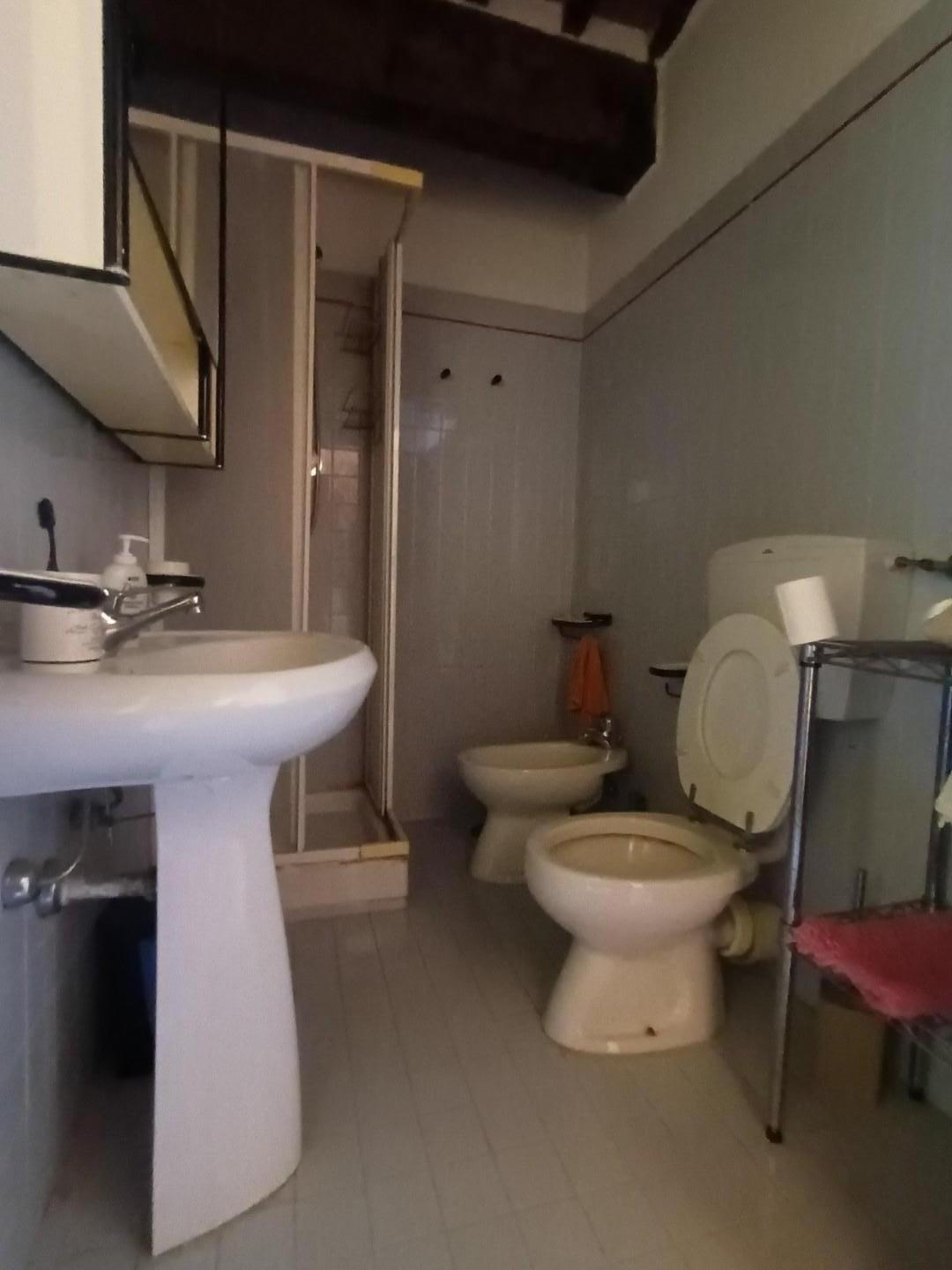 Casa indipendente in vendita, Lucca arsina