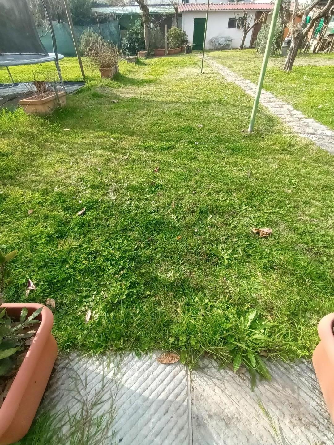 Bilocale con giardino, Lucca nave