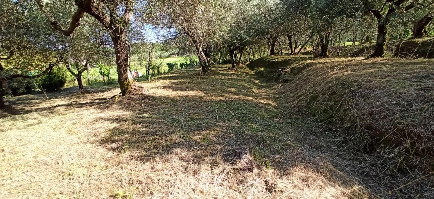 Casa indipendente arredata in affitto, Capannori colle di compito