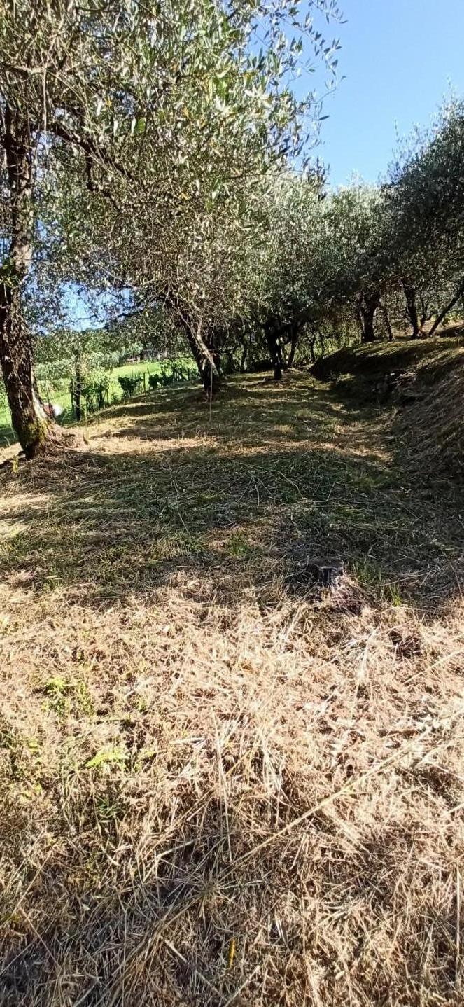 Casa indipendente arredata in affitto, Capannori colle di compito