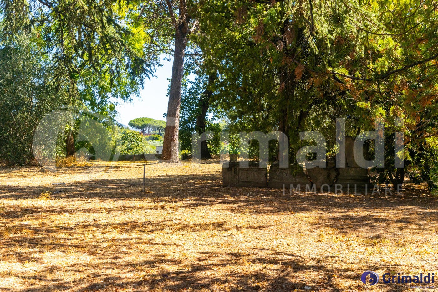 Villa con giardino a Ciampino