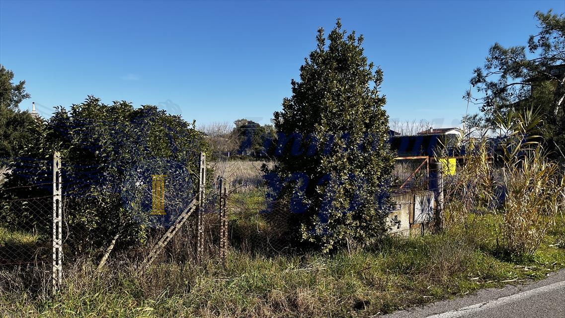 immagine annuncio 2 di 6