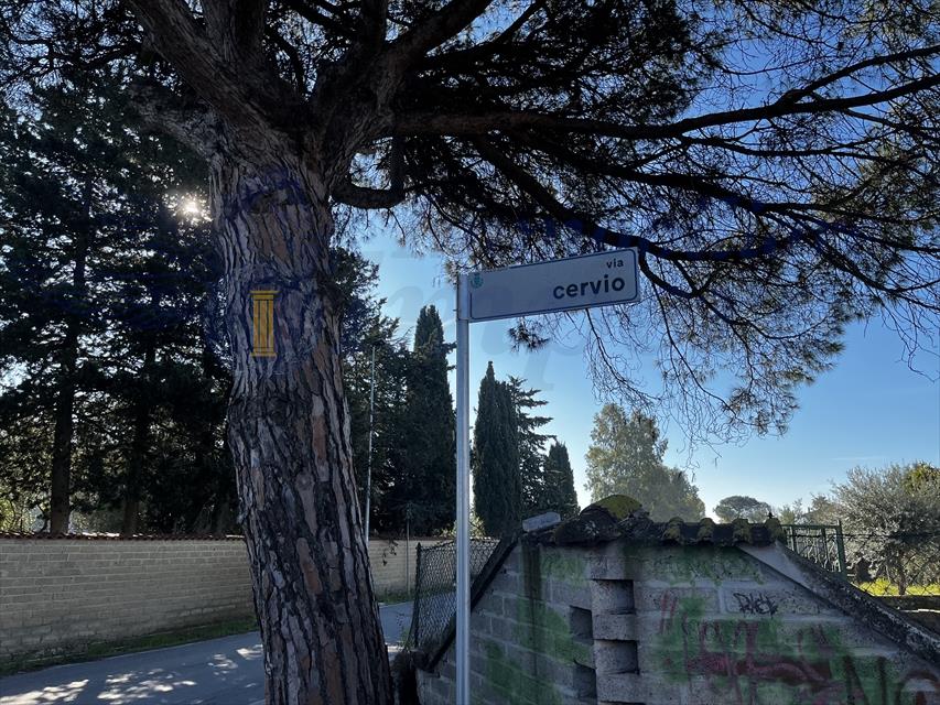 immagine annuncio 5 di 6