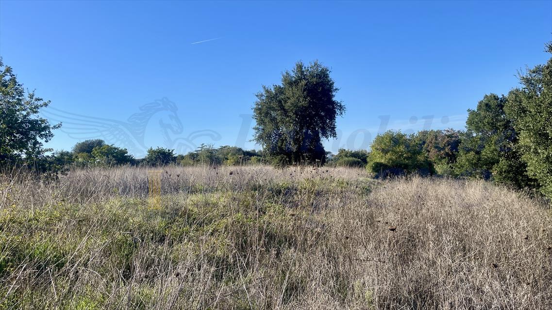 Terreno in vendita in via dei rutuli, Aprilia