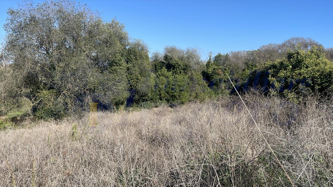 Terreno in vendita in via dei rutuli, Aprilia