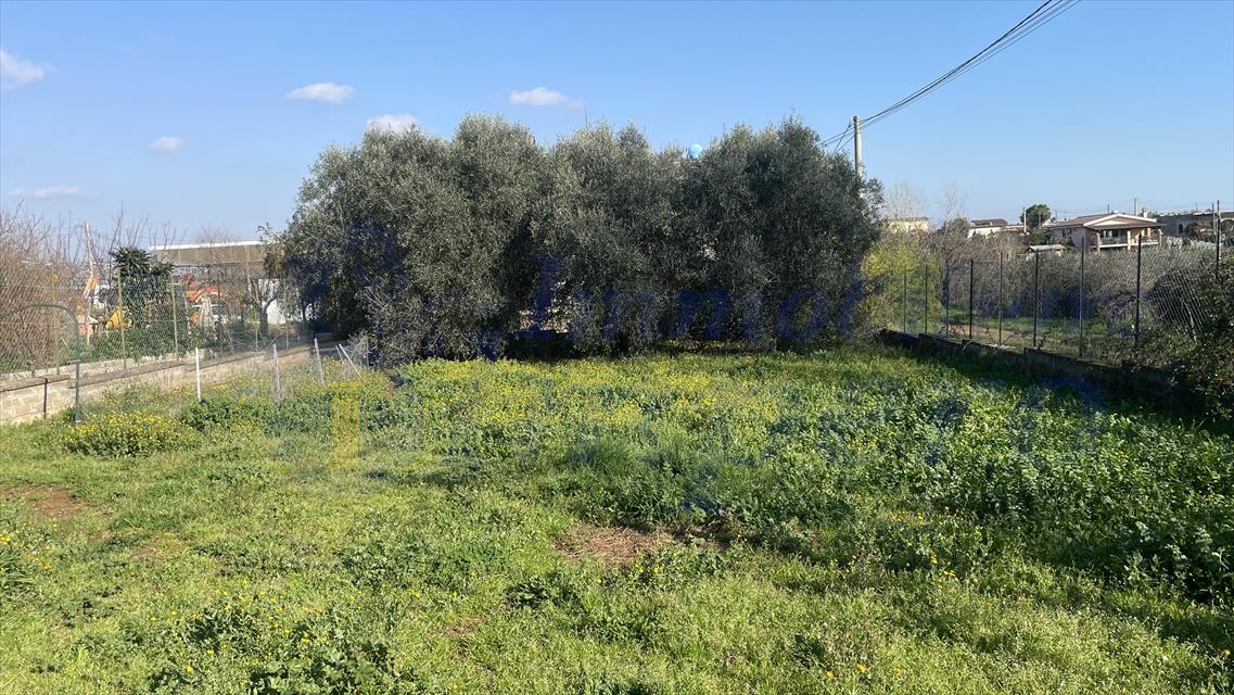 Villa con giardino in via pedica 79, Genzano di Roma