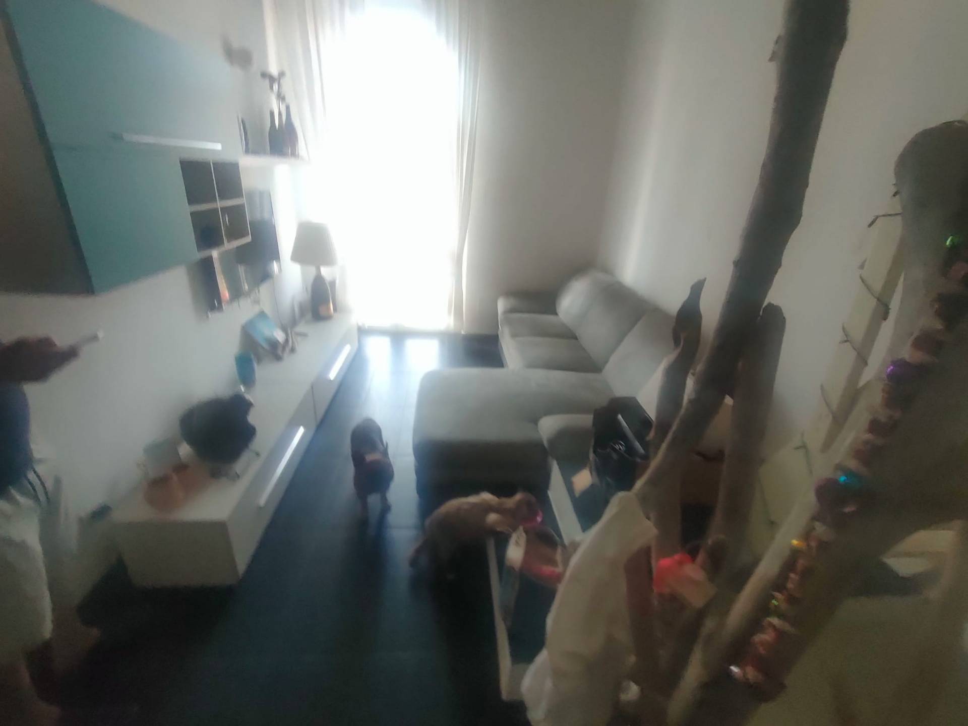 Appartamento in vendita a Viareggio, Darsena