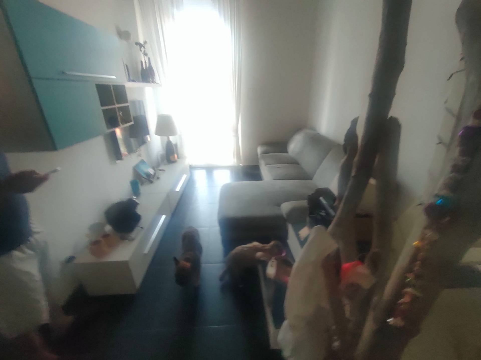 Appartamento in vendita a Viareggio, Darsena