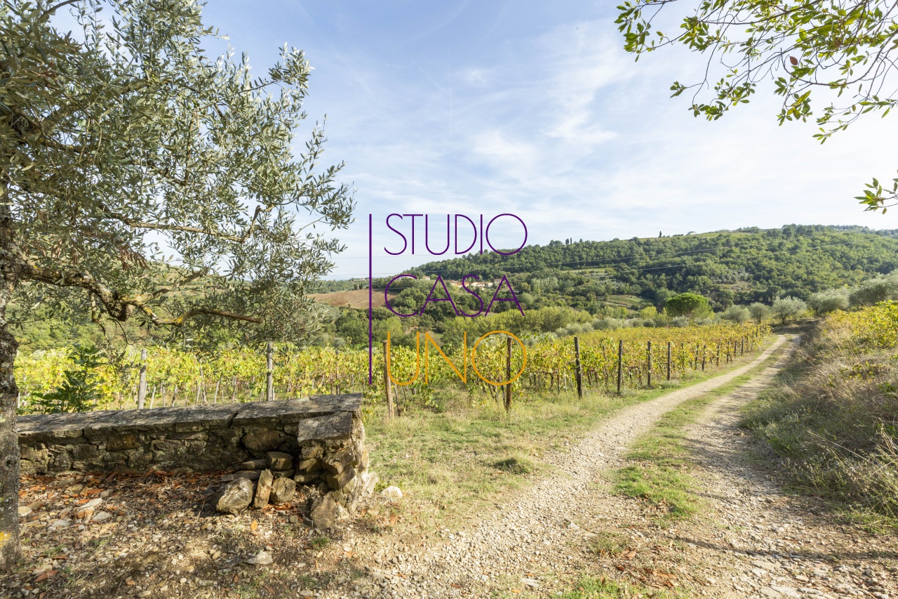 Cascina/Casale/Masseria in vendita a Radda in Chianti