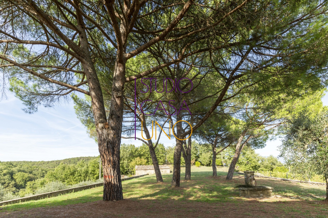 Cascina/Casale/Masseria in vendita a Radda in Chianti