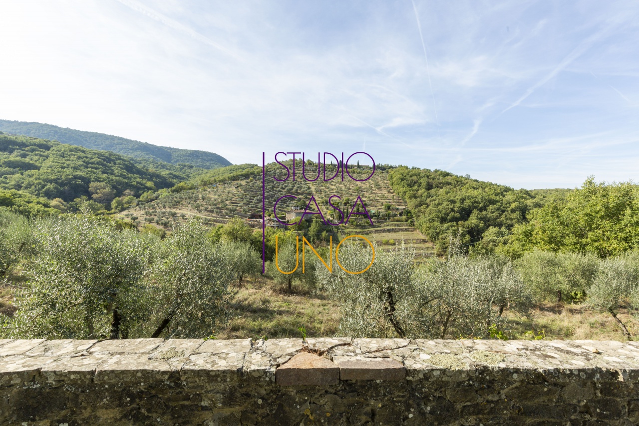 Cascina/Casale/Masseria in vendita a Radda in Chianti