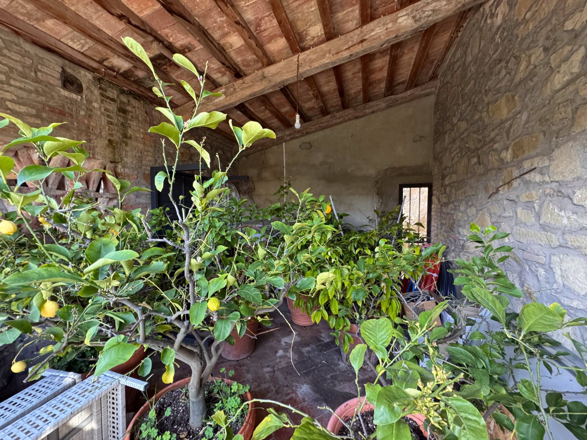 Cascina/Casale/Masseria in vendita a Cavriglia, Montegonzi
