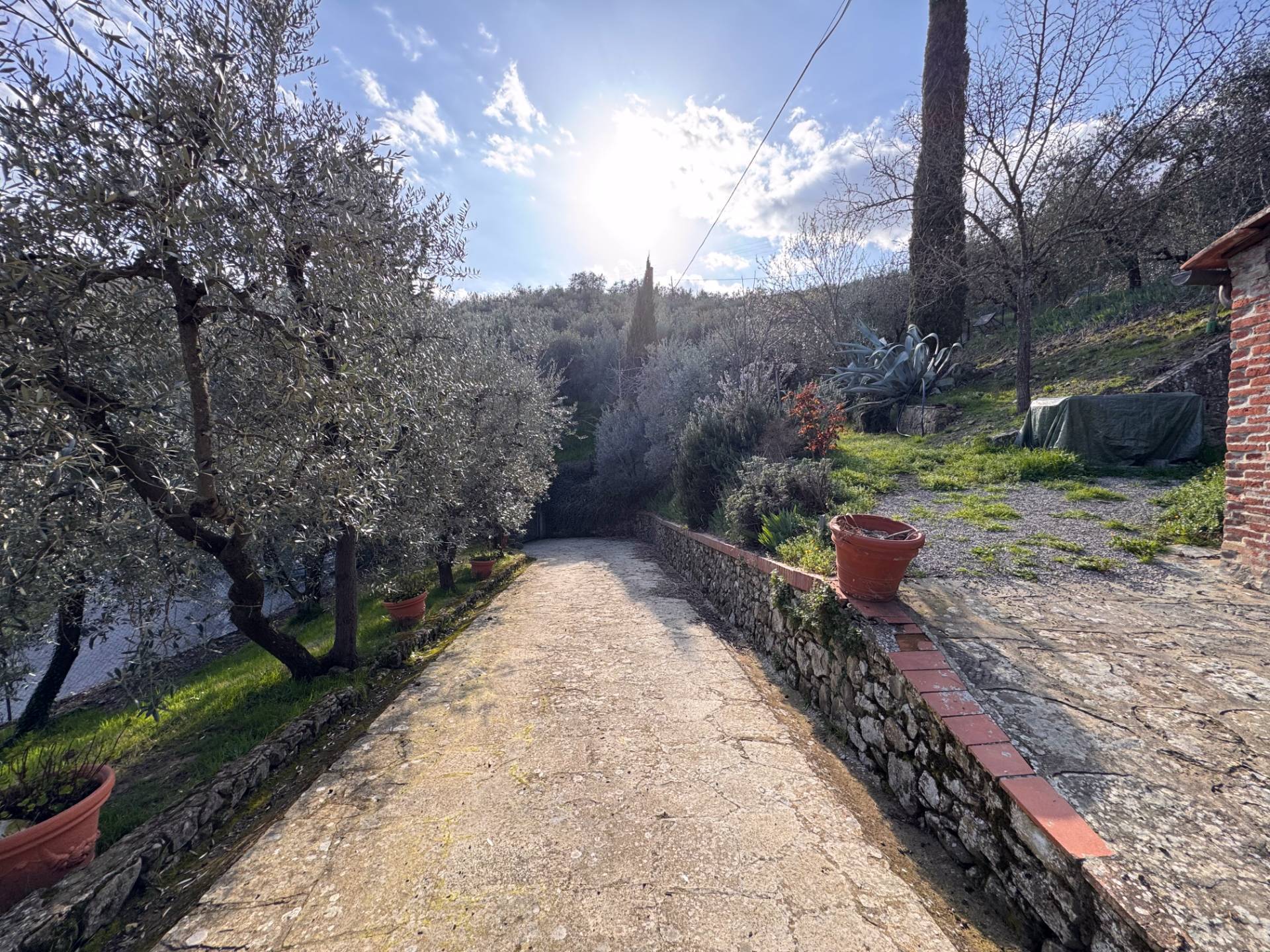 Cascina/Casale/Masseria in vendita a Cavriglia, Montegonzi