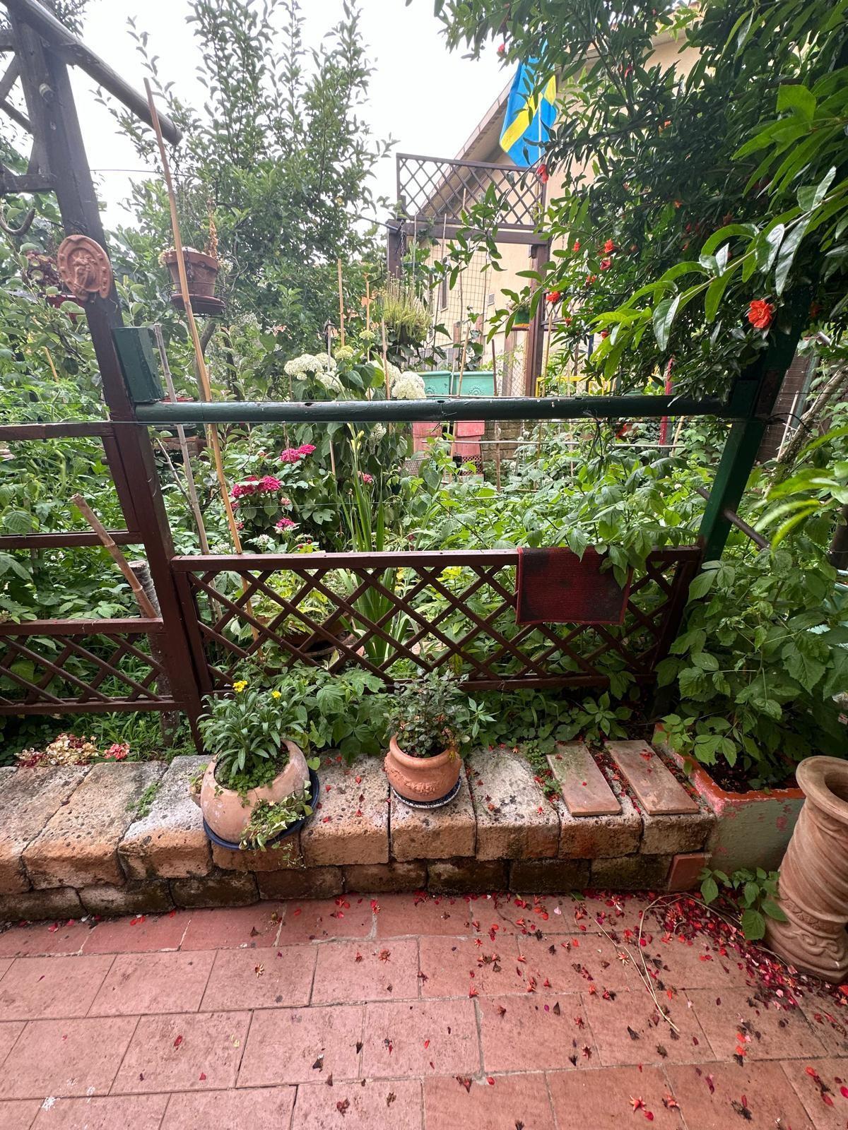 Villa con giardino a Campiglia Marittima