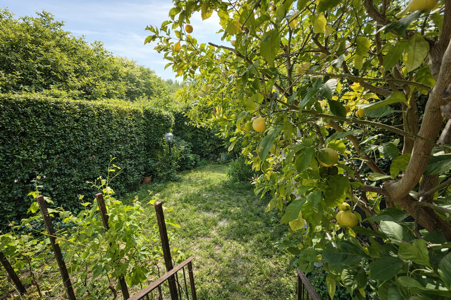 Villa con giardino a Calci