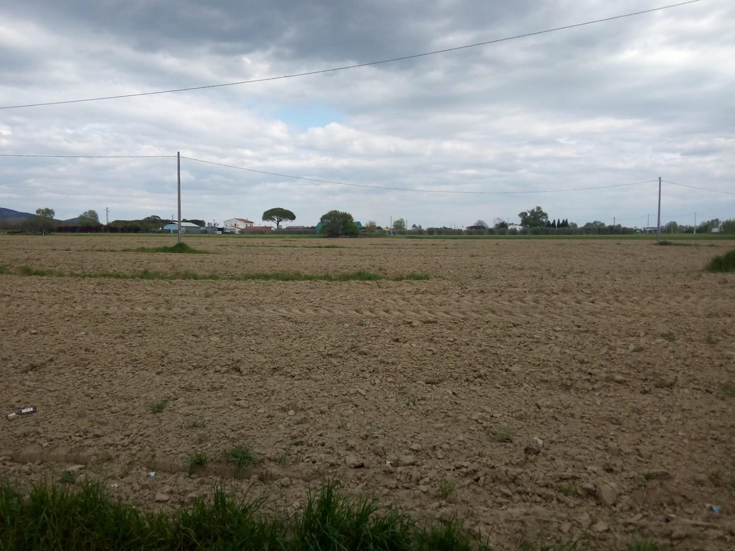 Terreno Agricolo in vendita, Cascina san lorenzo a pagnatico