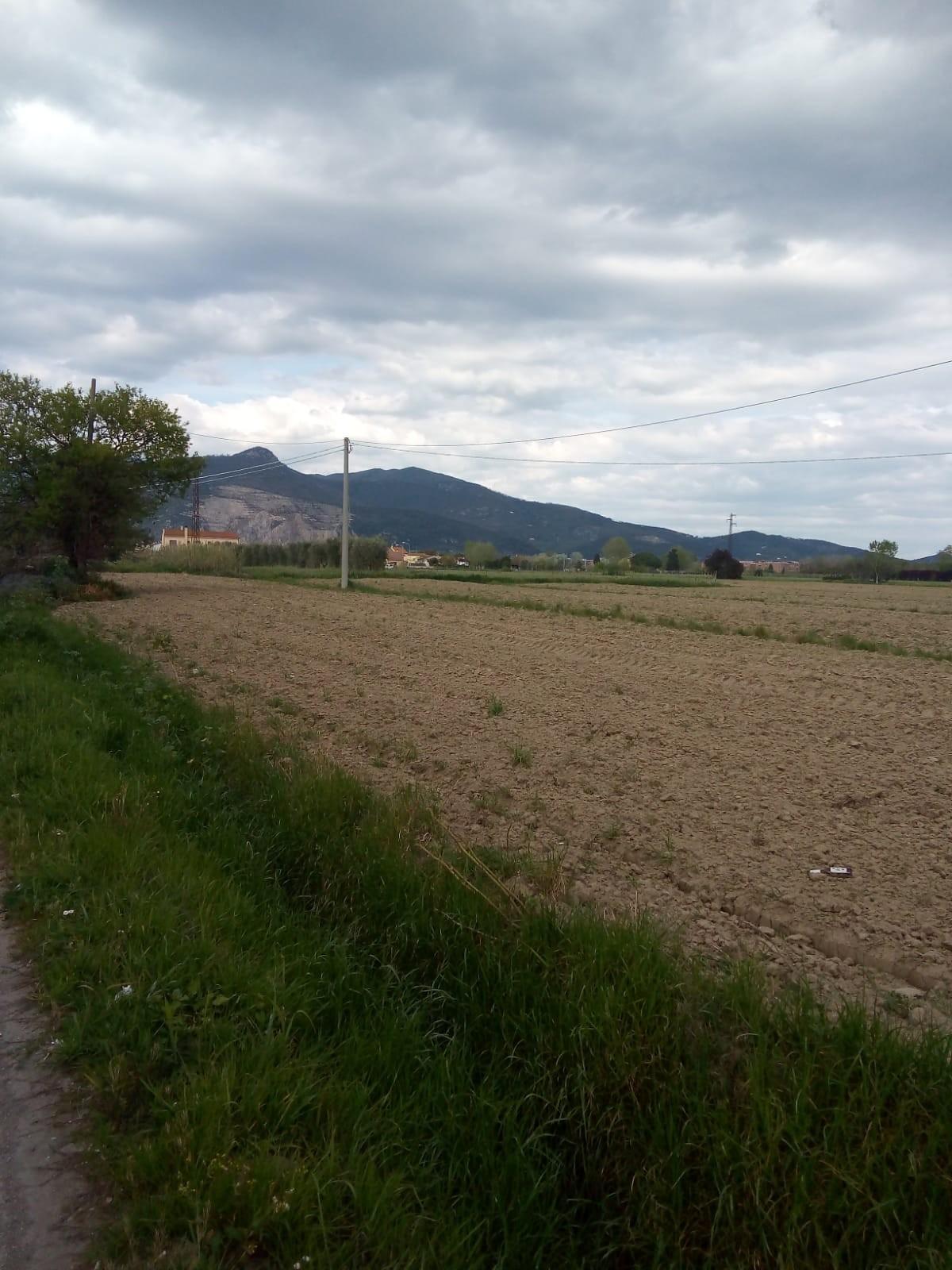 Terreno Agricolo in vendita, Cascina san lorenzo a pagnatico