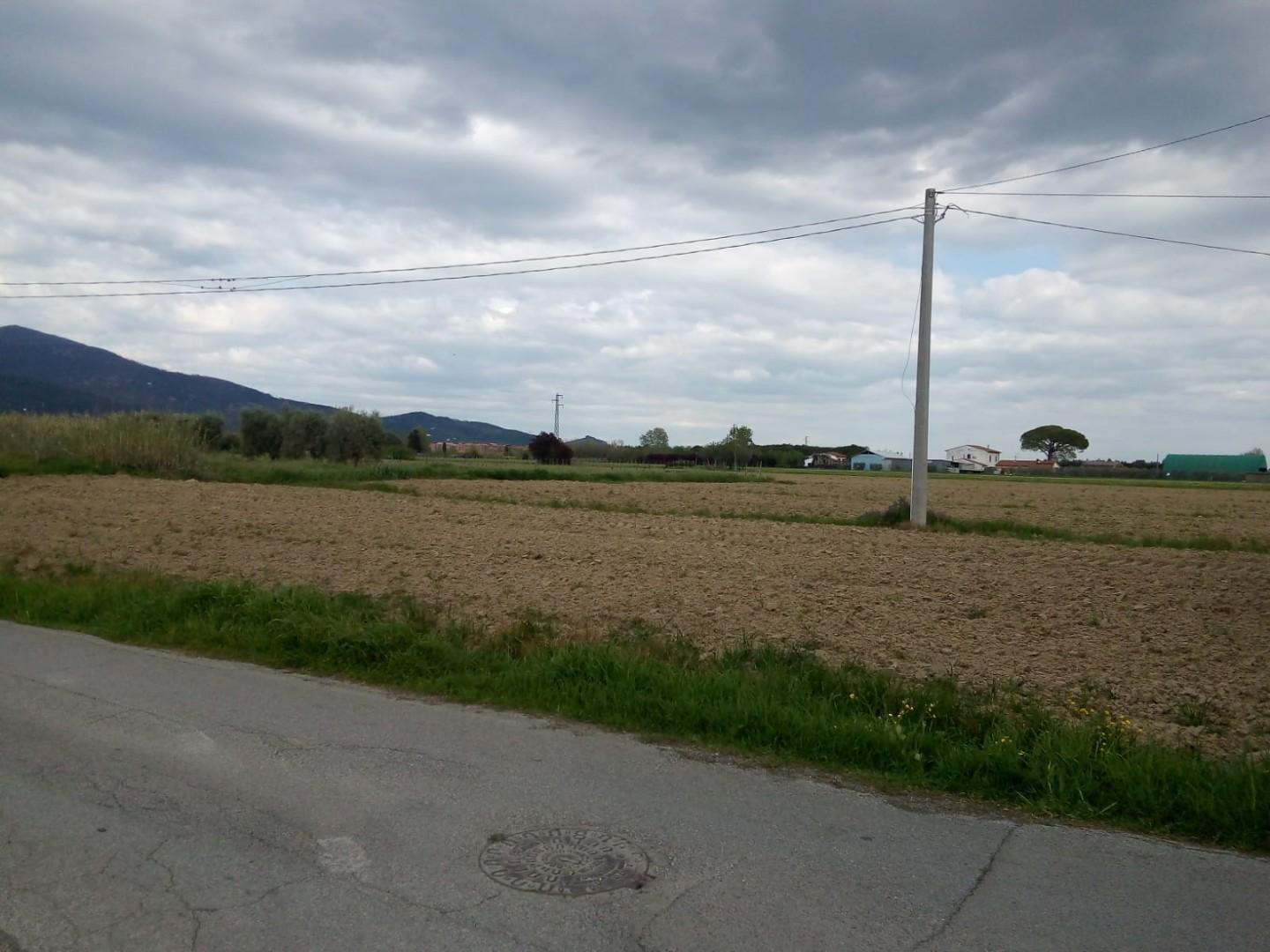 Terreno Agricolo in vendita, Cascina san lorenzo a pagnatico