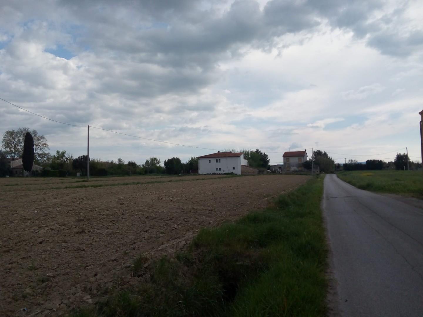 Terreno Agricolo in vendita, Cascina san lorenzo a pagnatico