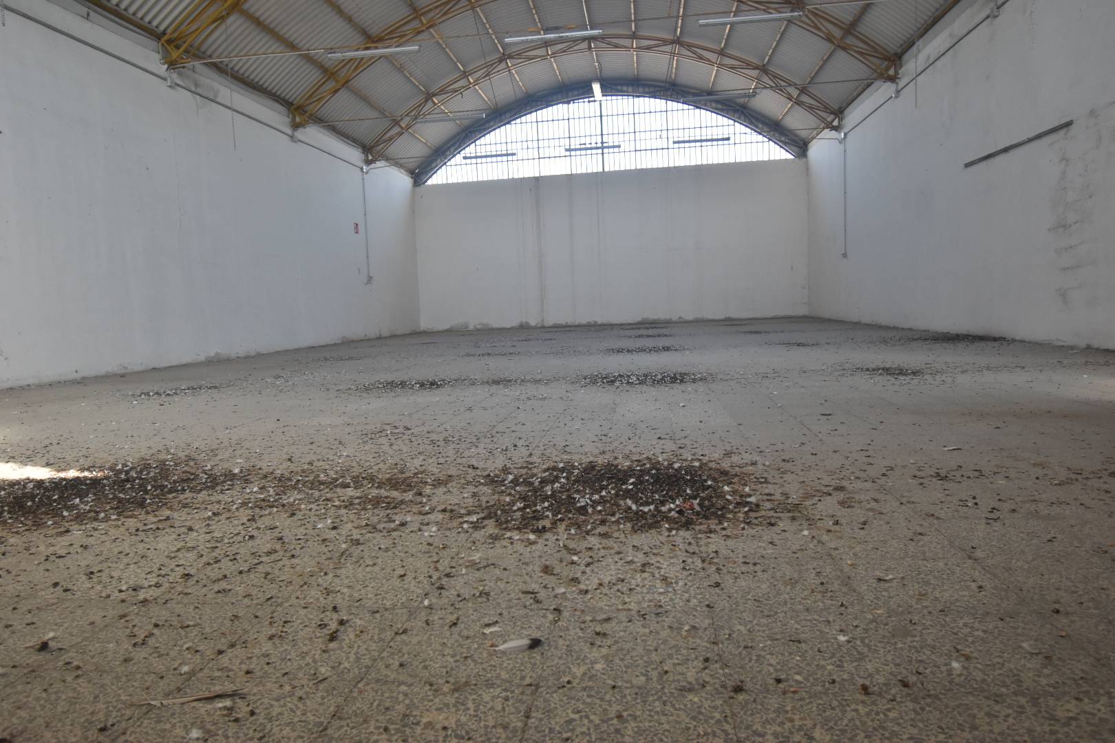 Capannone in vendita a Quartu Sant'Elena