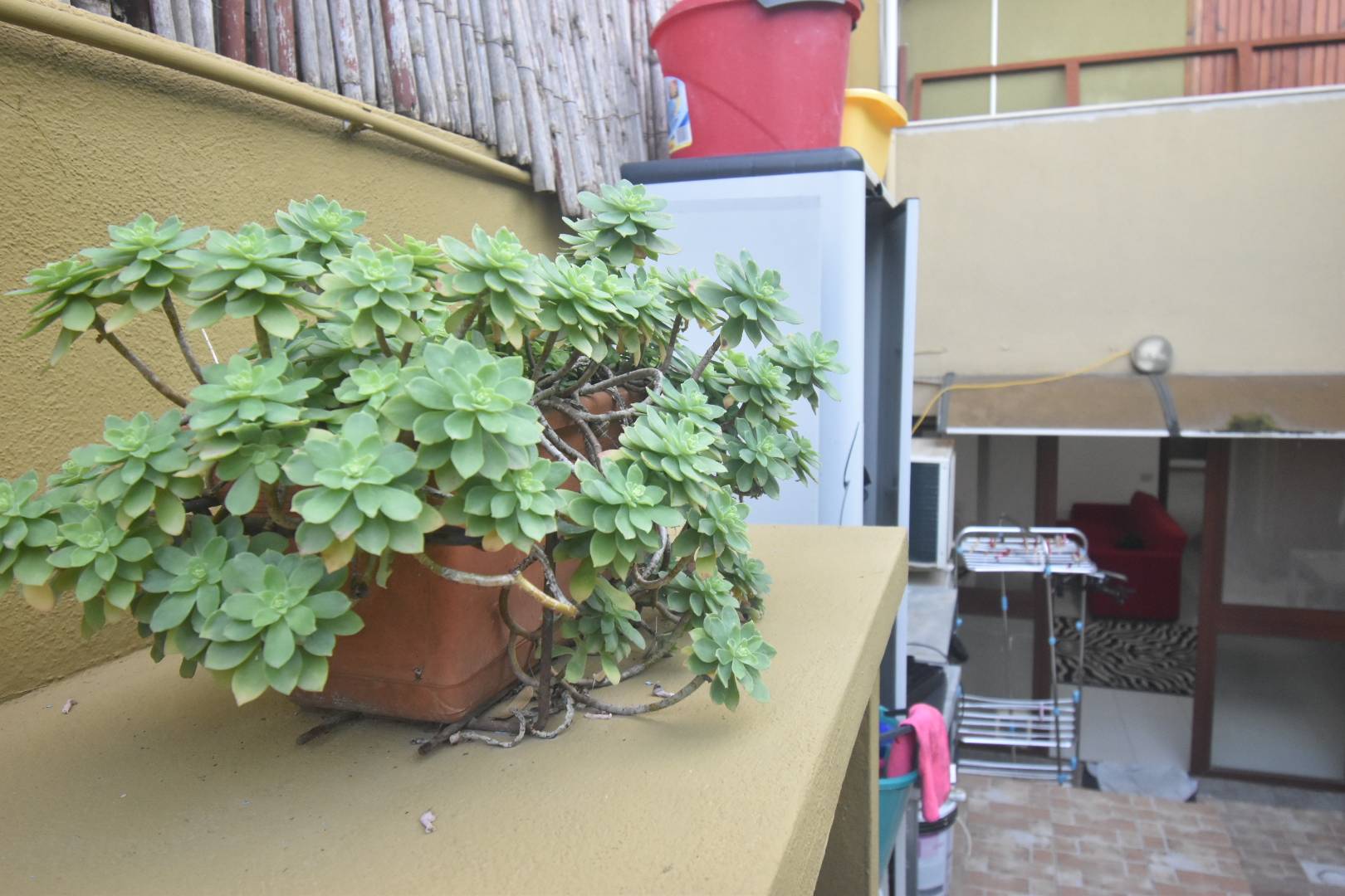 Appartamento in vendita a Quartu Sant'Elena