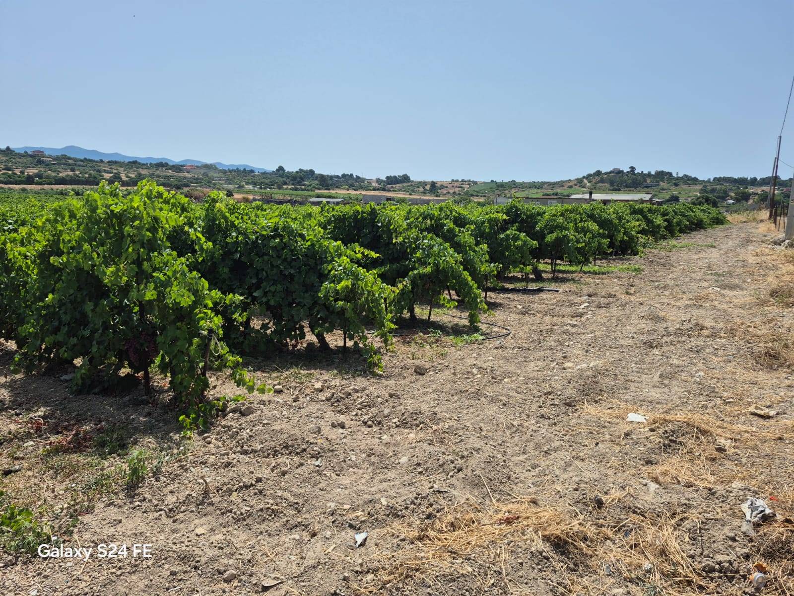 Terreno Agricolo in vendita a Quartu Sant'Elena