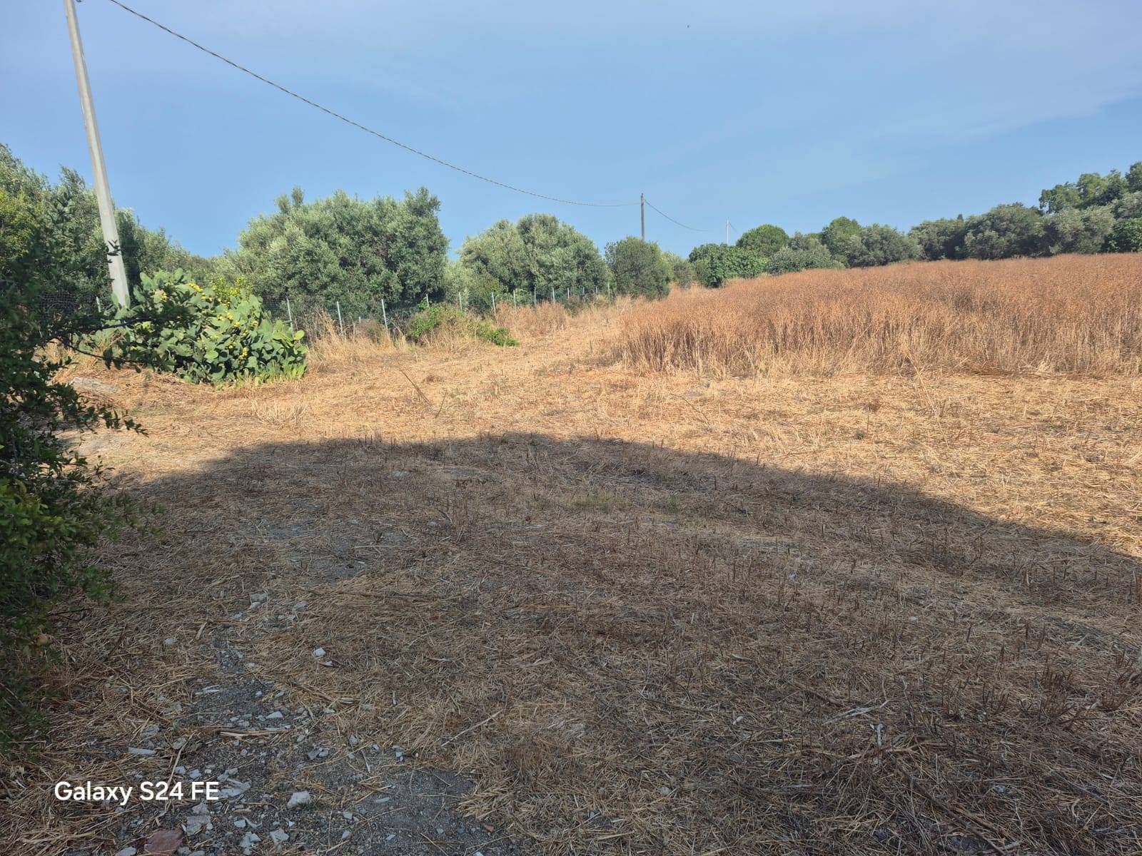 Terreno Agricolo in vendita a Quartu Sant'Elena