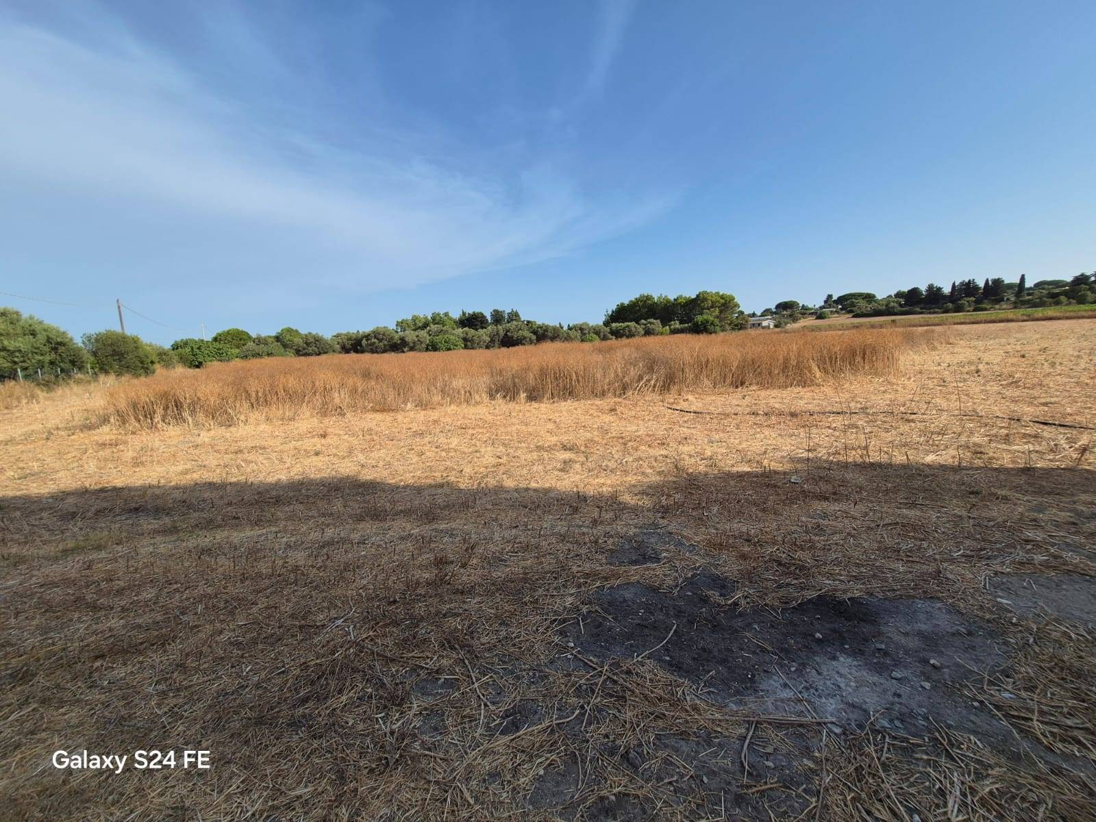 Terreno Agricolo in vendita a Quartu Sant'Elena