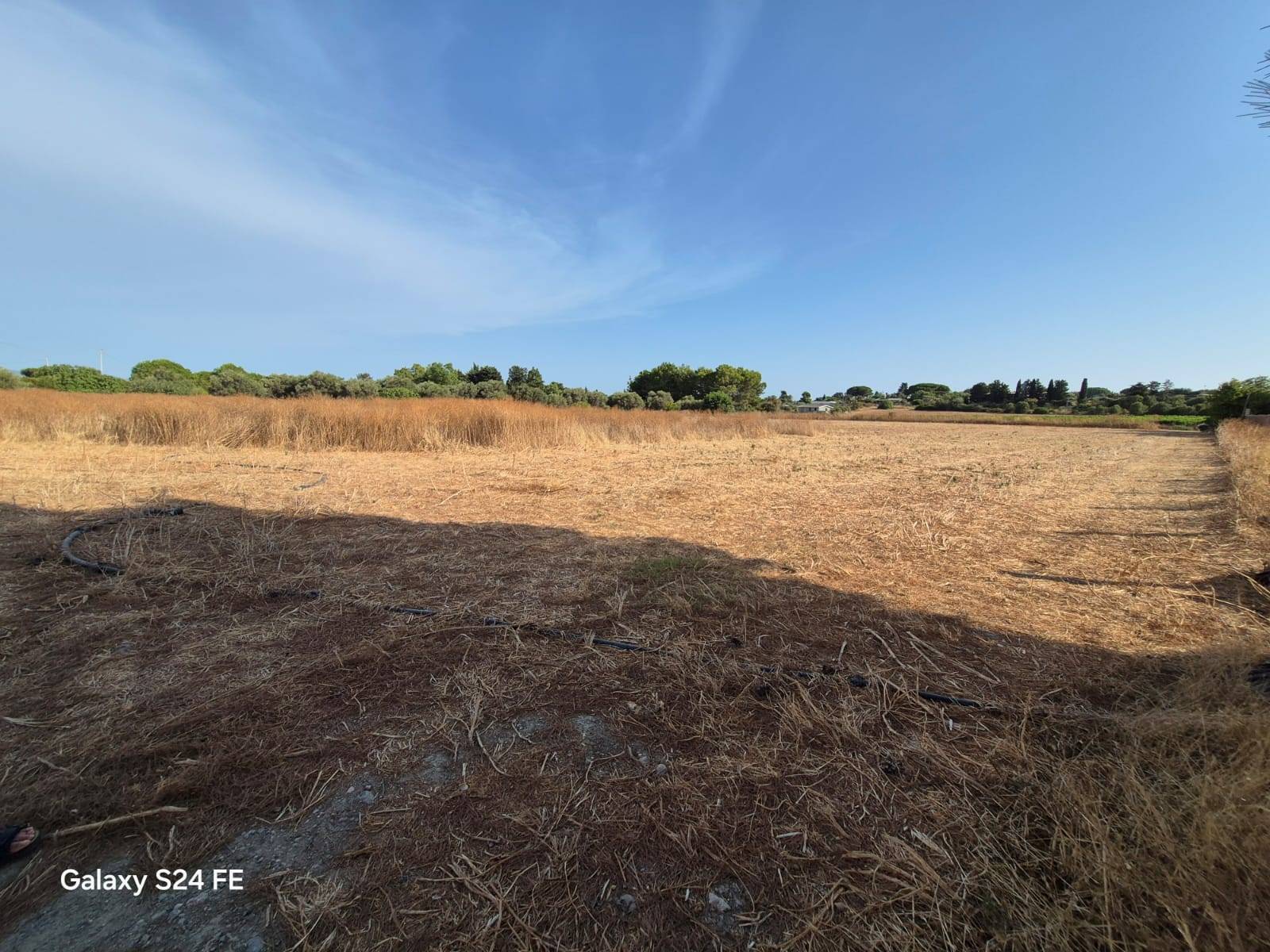 Terreno Agricolo in vendita a Quartu Sant'Elena