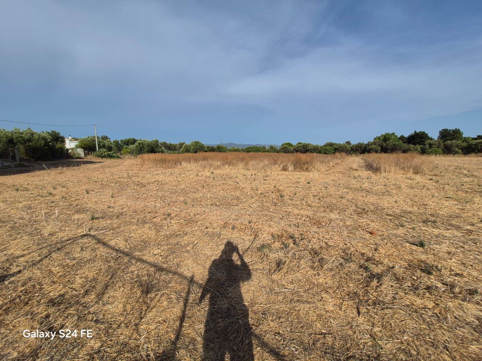 Terreno Agricolo in vendita a Quartu Sant'Elena