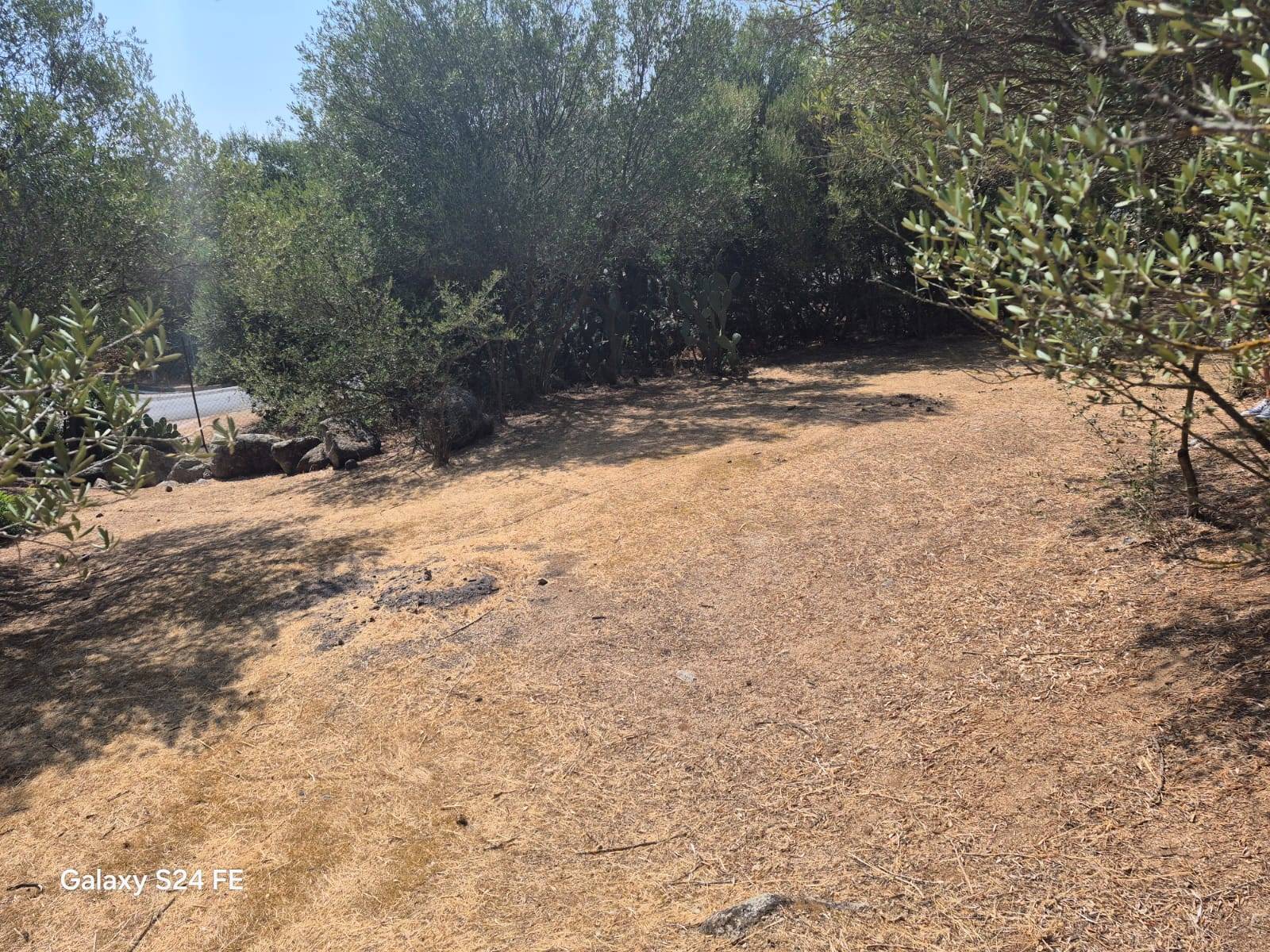 Terreno Agricolo in vendita a Quartu Sant'Elena