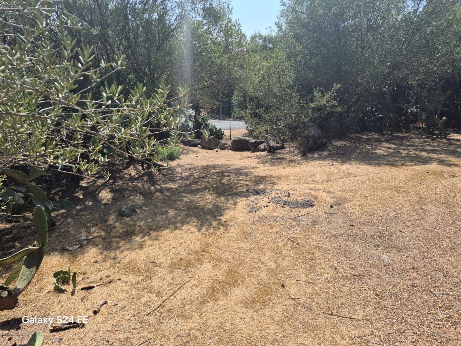 Terreno Agricolo in vendita a Quartu Sant'Elena