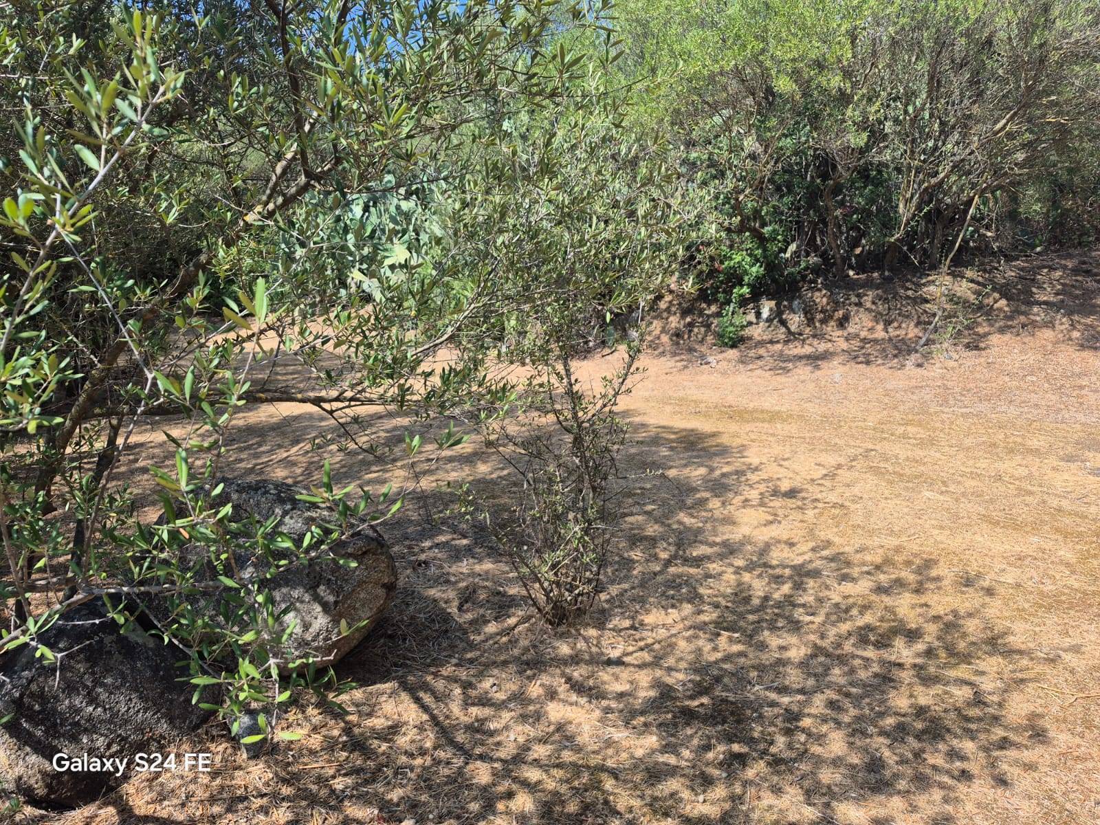 Terreno Agricolo in vendita a Quartu Sant'Elena