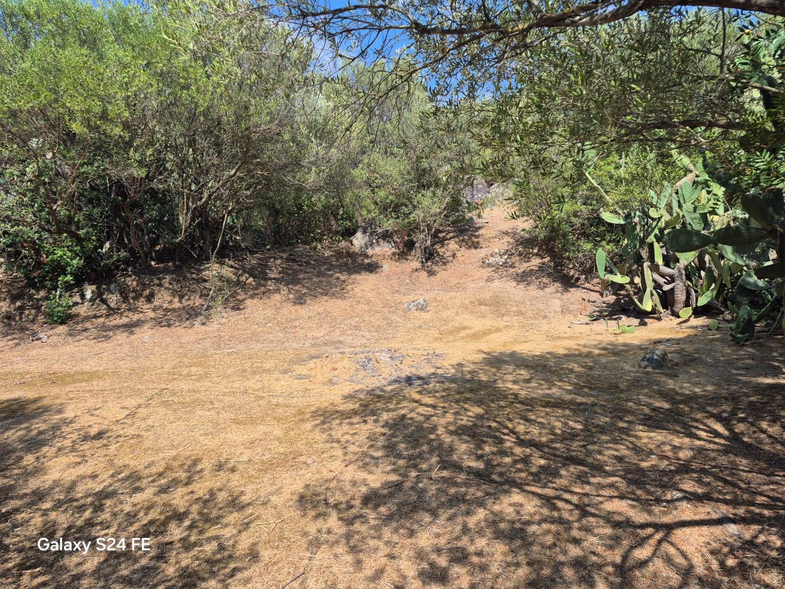 Terreno Agricolo in vendita a Quartu Sant'Elena