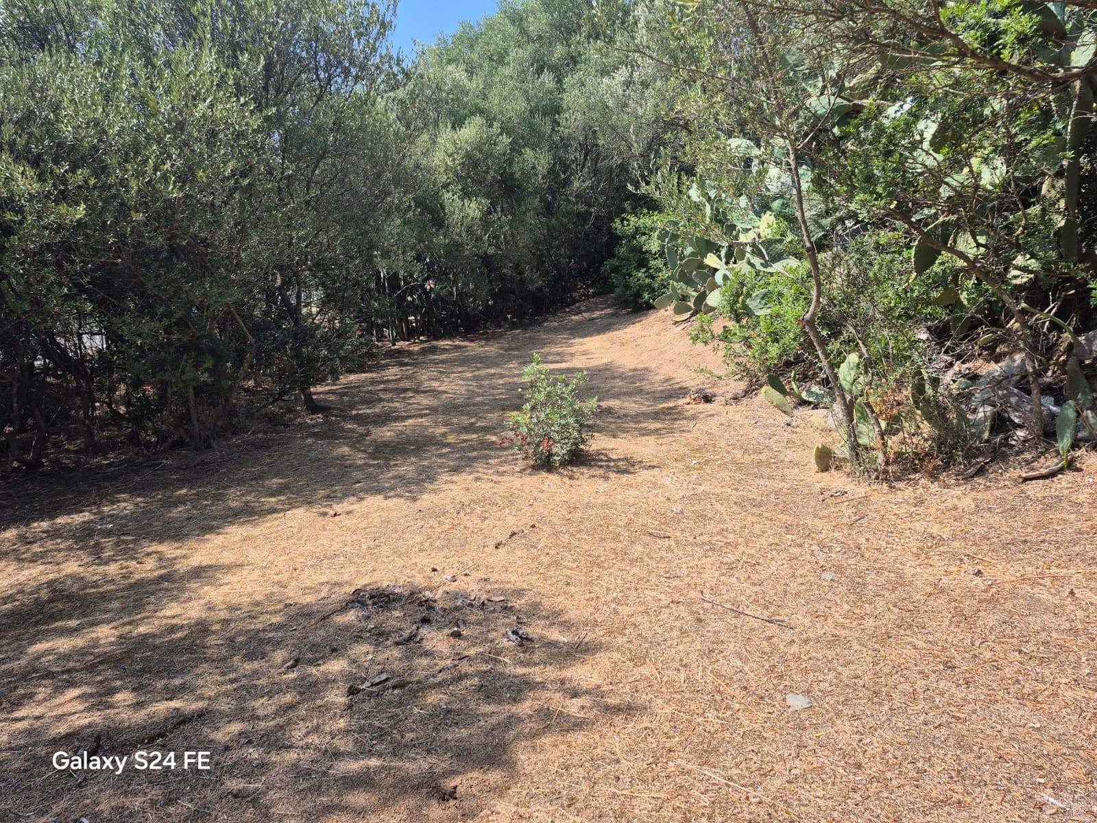Terreno Agricolo in vendita a Quartu Sant'Elena