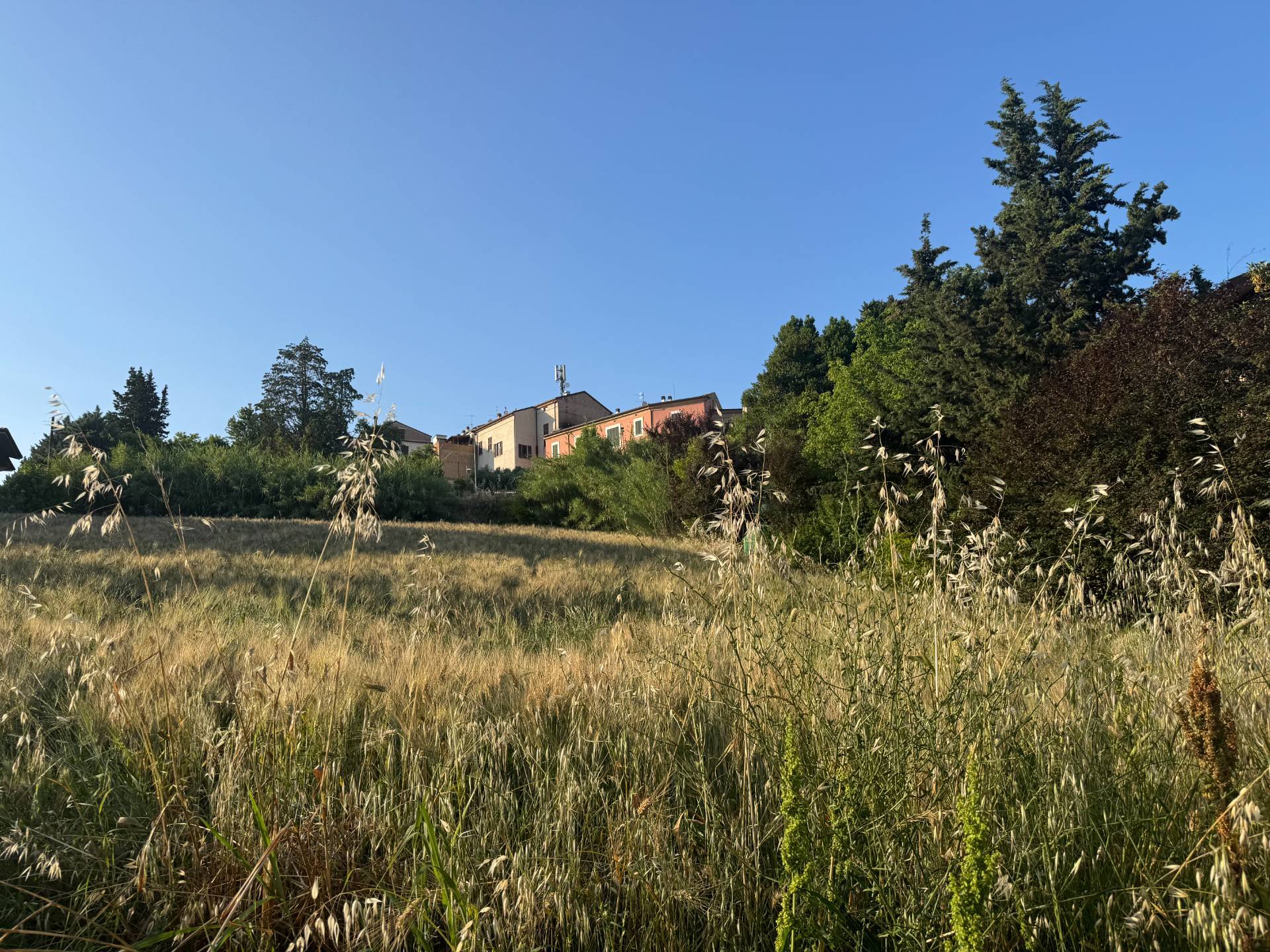 Terreno edificabile in vendita a Torano Nuovo