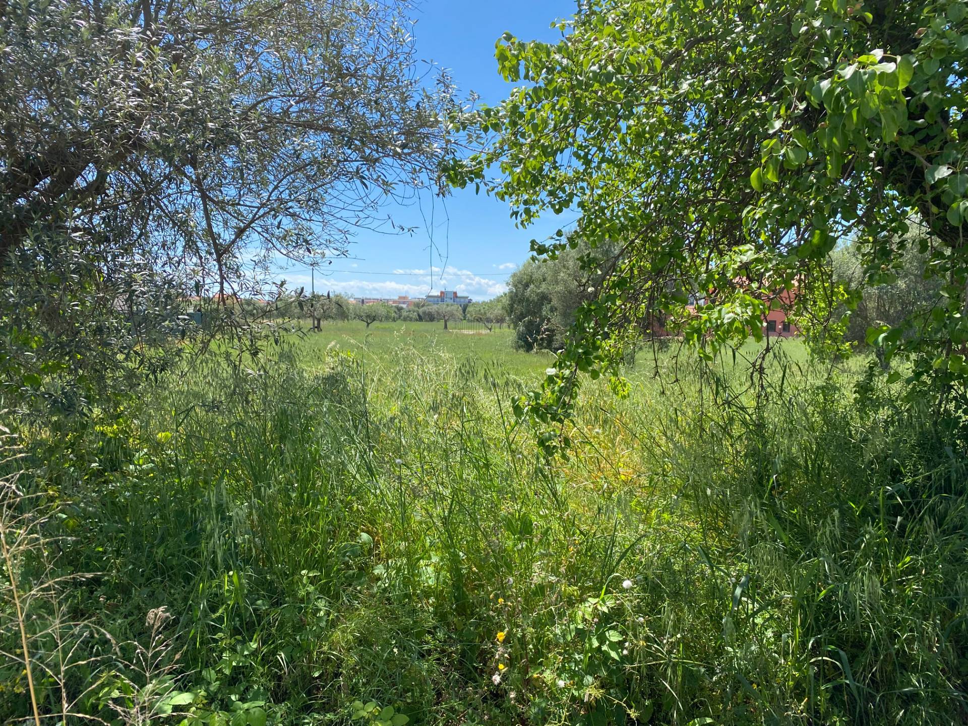 Terreno edificabile in vendita a Alba Adriatica
