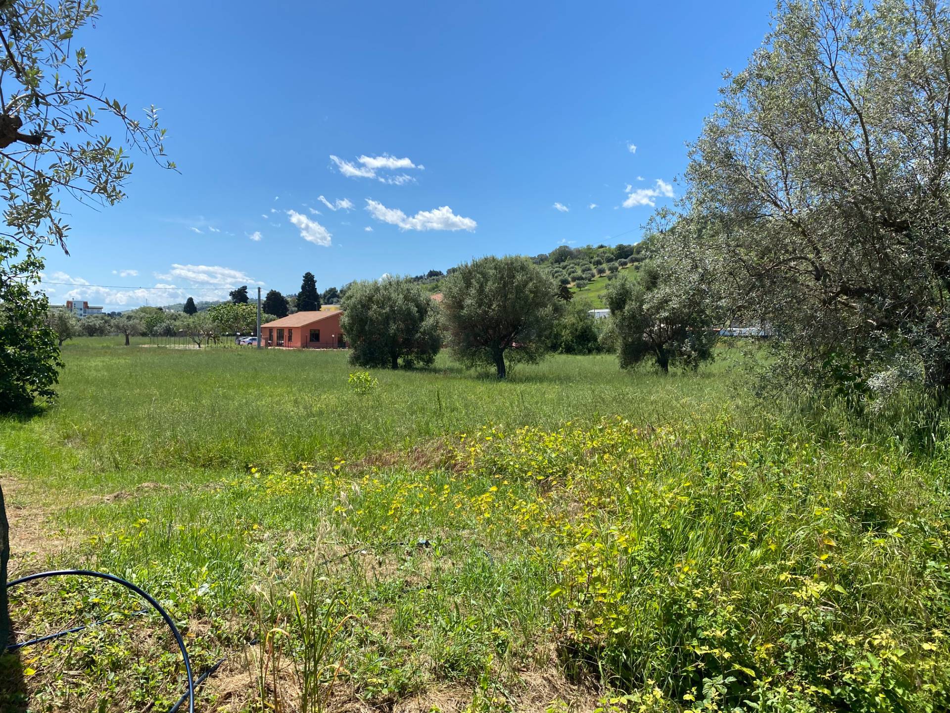 Terreno edificabile in vendita a Alba Adriatica