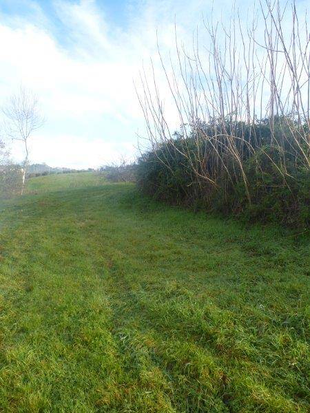 Rustico in vendita a Tortoreto, Cavatassi