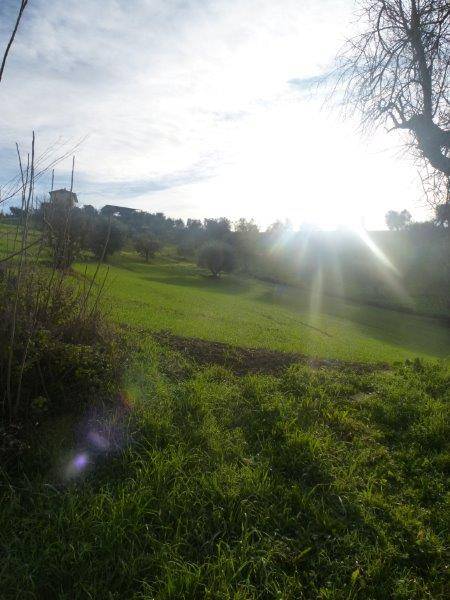 Rustico in vendita a Tortoreto, Cavatassi