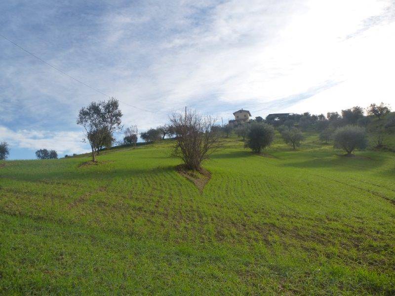 Rustico in vendita a Tortoreto, Cavatassi