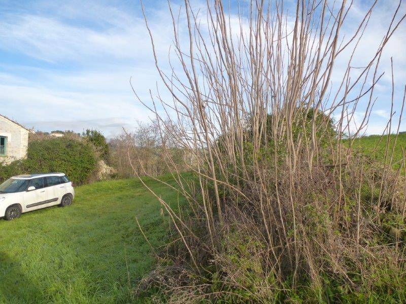 Rustico in vendita a Tortoreto, Cavatassi