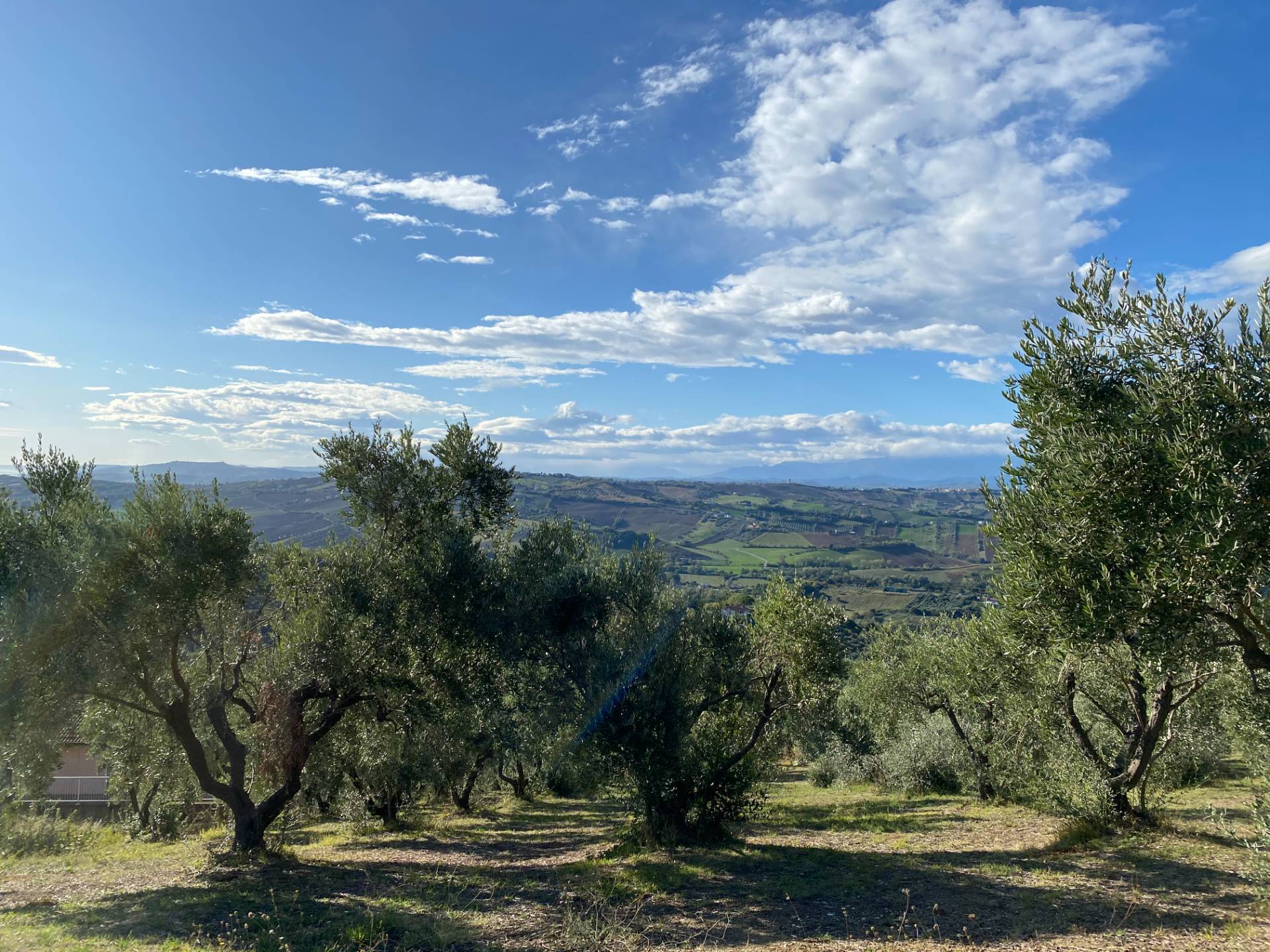 Terreno edificabile in vendita a Tortoreto, Tortoreto Alta